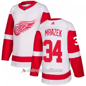 Män Ishockey Detroit Red Wings Tröja Petr Mrazek 34 Adidas 2017-2018 Vit Authentic